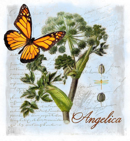 Angelica Herb White Modern Wood Framed Art Print with Double Matting by Lavoie, Tina