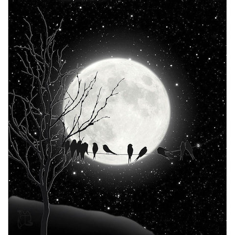 Moon Bath I Black Modern Wood Framed Art Print with Double Matting by Lavoie, Tina