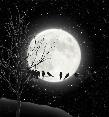 Moon Bath I White Modern Wood Framed Art Print with Double Matting by Lavoie, Tina