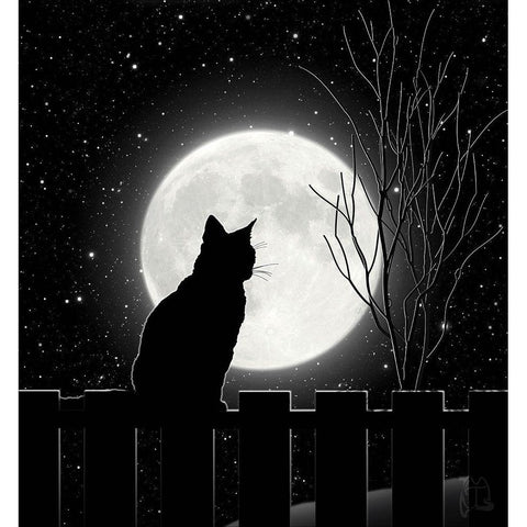 Moon Bath II Black Modern Wood Framed Art Print with Double Matting by Lavoie, Tina