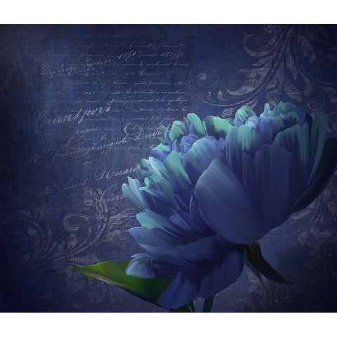 Patience Black Modern Wood Framed Art Print with Double Matting by Lavoie, Tina