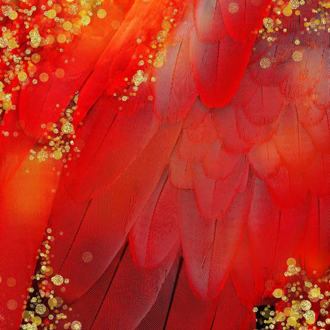 Mid-Summer Magik Red Spice Black Modern Wood Framed Art Print by Lavoie, Tina