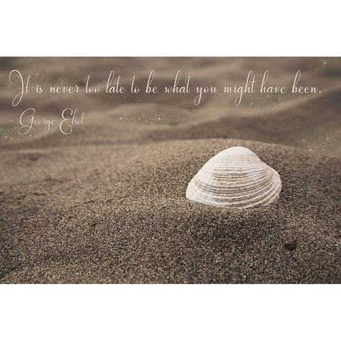 Never Too Late White Modern Wood Framed Art Print by Lavoie, Tina