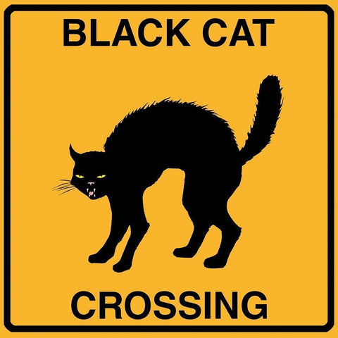 Black Cat Crossing White Modern Wood Framed Art Print by Lavoie, Tina