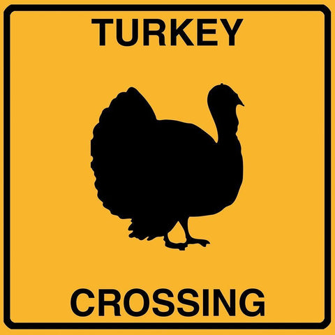 Turkey Crossing White Modern Wood Framed Art Print with Double Matting by Lavoie, Tina