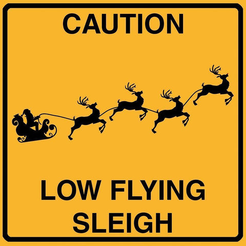 Low Flying Sleigh Black Modern Wood Framed Art Print with Double Matting by Lavoie, Tina