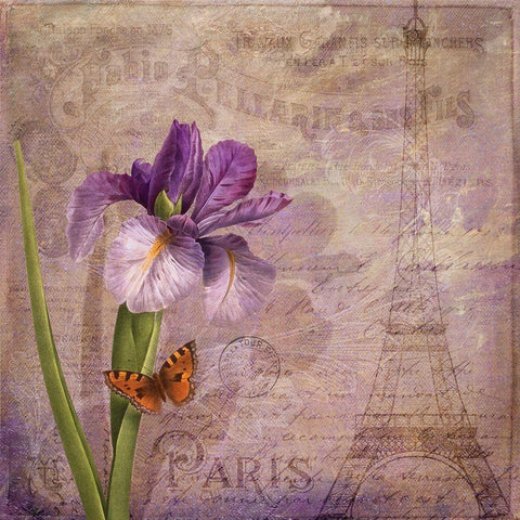 Ville de Paris I White Modern Wood Framed Art Print with Double Matting by Lavoie, Tina