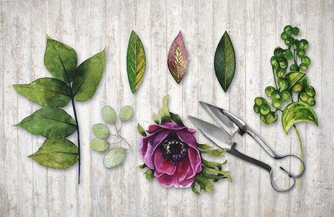 Botanica White Modern Wood Framed Art Print with Double Matting by Lavoie, Tina