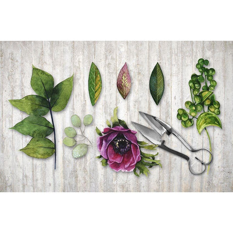 Botanica Black Modern Wood Framed Art Print by Lavoie, Tina