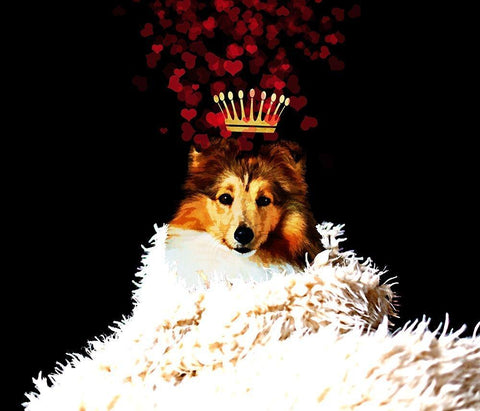 Royal Love Pup - Sheltie White Modern Wood Framed Art Print with Double Matting by Lavoie, Tina