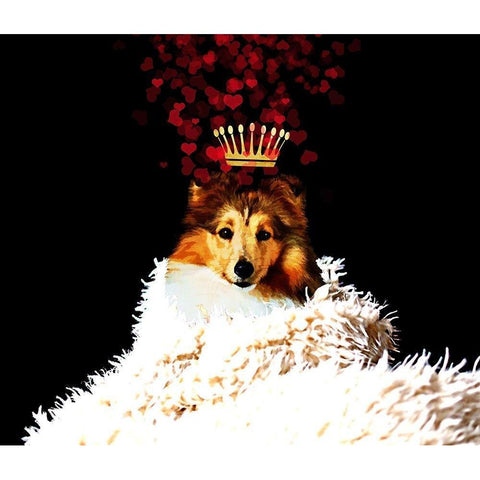 Royal Love Pup - Sheltie Black Modern Wood Framed Art Print with Double Matting by Lavoie, Tina