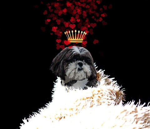 Royal Love Pup - Shi Tzu Black Ornate Wood Framed Art Print with Double Matting by Lavoie, Tina