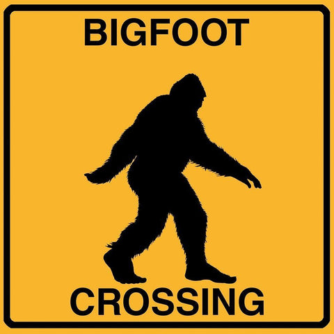 Bigfoot Crossing White Modern Wood Framed Art Print with Double Matting by Lavoie, Tina