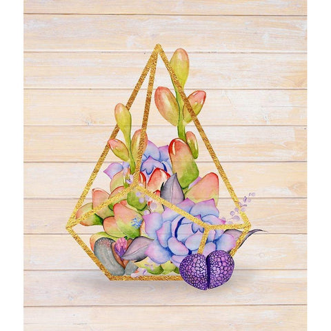 Rustic Succulent Terrarium White Modern Wood Framed Art Print by Lavoie, Tina