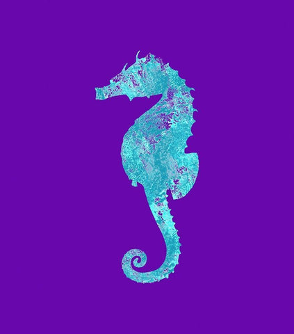 Sponge Seahorse Aqua White Modern Wood Framed Art Print with Double Matting by Lavoie, Tina