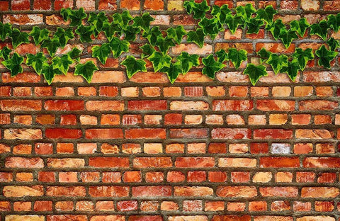 Brick Wall and Ivy Black Ornate Wood Framed Art Print with Double Matting by Lavoie, Tina