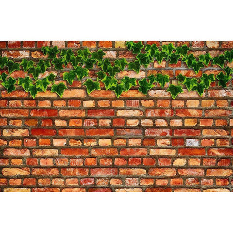 Brick Wall and Ivy Black Modern Wood Framed Art Print with Double Matting by Lavoie, Tina