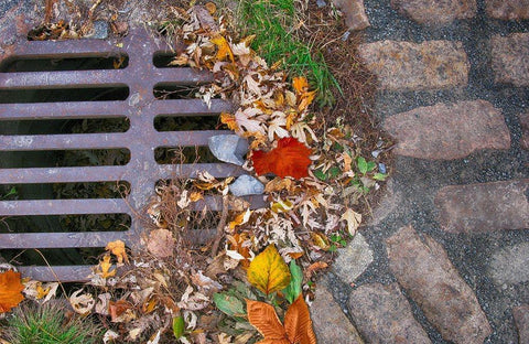 Old Montreal Metal Grate 03 White Modern Wood Framed Art Print with Double Matting by Lavoie, Tina