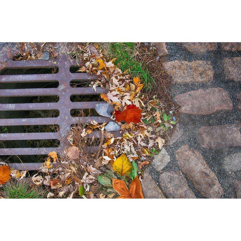 Old Montreal Metal Grate 03 Black Modern Wood Framed Art Print with Double Matting by Lavoie, Tina