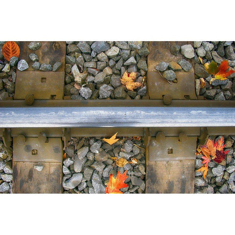 Old Montreal Railroad Tracks Gold Ornate Wood Framed Art Print with Double Matting by Lavoie, Tina