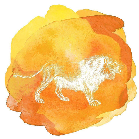Color Spot Safari Animals Lion White Modern Wood Framed Art Print by Lavoie, Tina