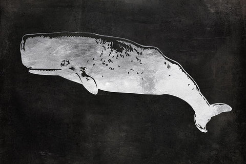 Sperm Whale Black Ornate Wood Framed Art Print with Double Matting by Lavoie, Tina