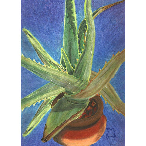 Aloe Vera Black Modern Wood Framed Art Print with Double Matting by Lavoie, Tina