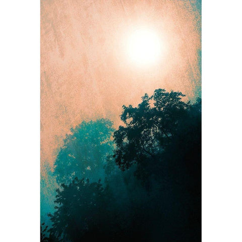 Jungle Canopy At Sunset White Modern Wood Framed Art Print by Lavoie, Tina