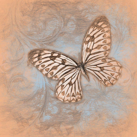 Main Black Ornate Wood Framed Art Print with Double Matting by Lavoie, Tina