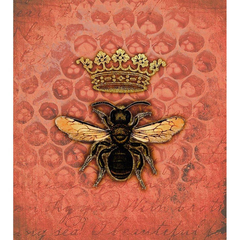 Honeycomb Queen Black Modern Wood Framed Art Print with Double Matting by Lavoie, Tina