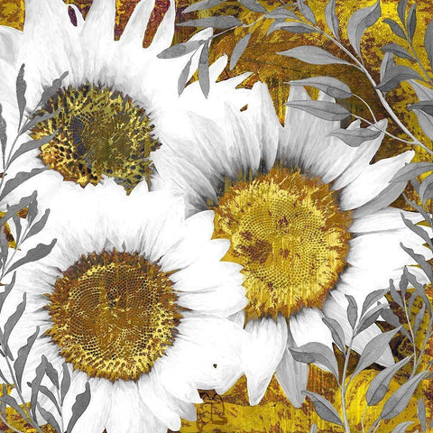 Gray Day Sunflowers White Modern Wood Framed Art Print by Lavoie, Tina