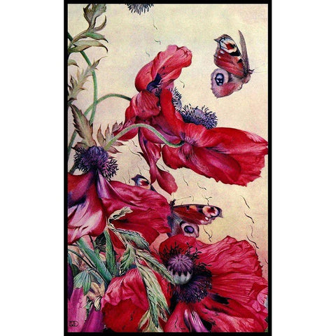 Poppy Nature Study 1917 Gold Ornate Wood Framed Art Print with Double Matting by Lavoie, Tina