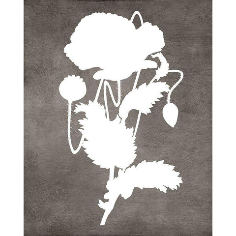 Spirit Poppy I Black Modern Wood Framed Art Print with Double Matting by Lavoie, Tina