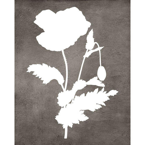 Spirit Poppy II Black Modern Wood Framed Art Print with Double Matting by Lavoie, Tina