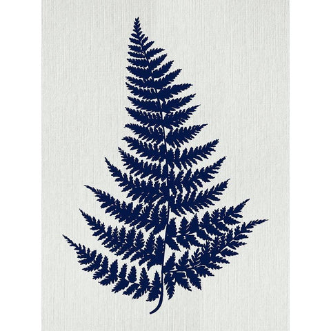 Indigo Fern Botanical I White Modern Wood Framed Art Print by Lavoie, Tina