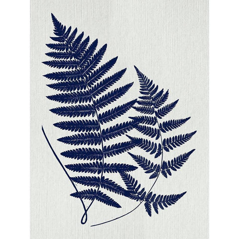 Indigo Fern Botanical II White Modern Wood Framed Art Print by Lavoie, Tina