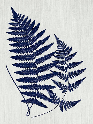 Indigo Fern Botanical II Black Ornate Wood Framed Art Print with Double Matting by Lavoie, Tina