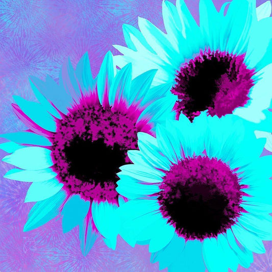 Image Only