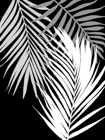 Tropics In Black And White II Black Ornate Wood Framed Art Print with Double Matting by Lavoie, Tina