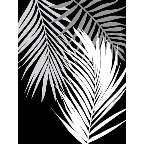 Tropics In Black And White II Black Modern Wood Framed Art Print with Double Matting by Lavoie, Tina