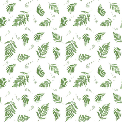 Falling Fern Fiddleheads Green White Modern Wood Framed Art Print with Double Matting by Mitchell, Tina