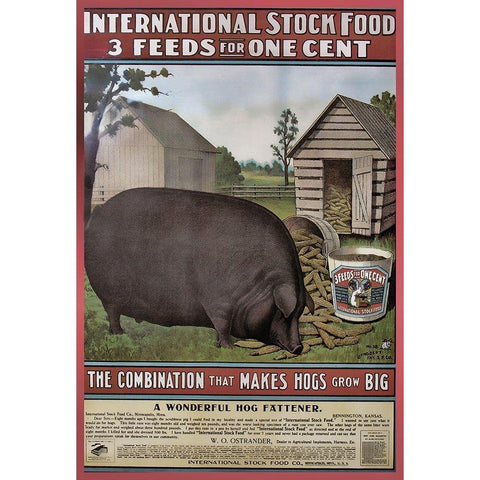 Hog Food White Modern Wood Framed Art Print by Vintage Apple Collection