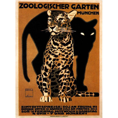 zoo big cats Black Modern Wood Framed Art Print with Double Matting by Vintage Apple Collection