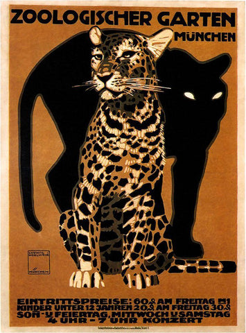 zoo big cats White Modern Wood Framed Art Print with Double Matting by Vintage Apple Collection