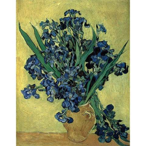 Van Gogh-Irises(1890) Black Modern Wood Framed Art Print with Double Matting by Vintage Apple Collection