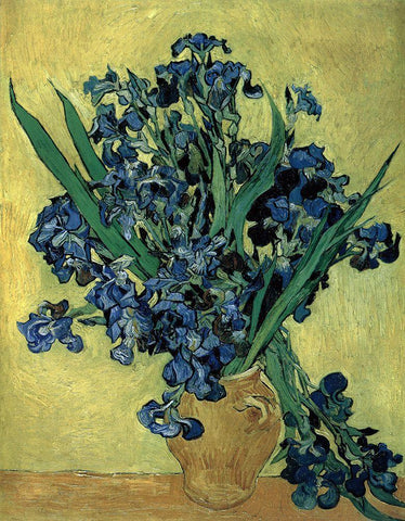 Van Gogh-Irises(1890) White Modern Wood Framed Art Print with Double Matting by Vintage Apple Collection