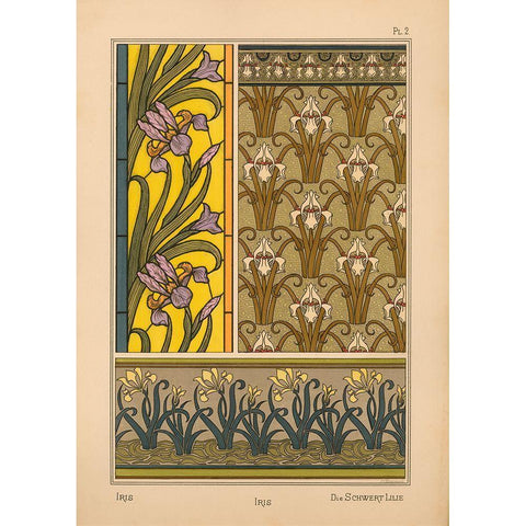 Plate 02 - Iris Gold Ornate Wood Framed Art Print with Double Matting by Vintage Apple Collection