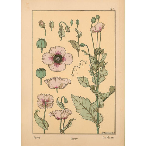 Plate 04 - Poppy Gold Ornate Wood Framed Art Print with Double Matting by Vintage Apple Collection