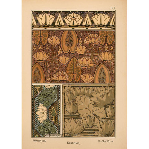 Plate 09 - Water-Lily Gold Ornate Wood Framed Art Print with Double Matting by Vintage Apple Collection