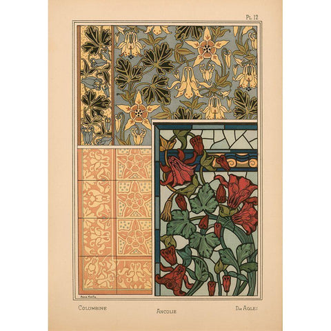 Plate 12 - Columbine Gold Ornate Wood Framed Art Print with Double Matting by Vintage Apple Collection